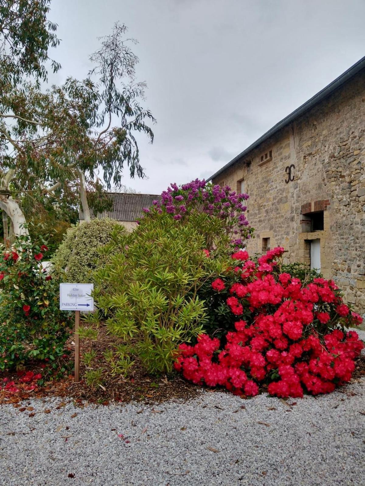 Les chambres d'Omaha Beach Etablissement avec deux chambres d'hôtes, petit-déjeuner compris fait-maison et produits locaux Vierville-sur-Mer Exterior foto